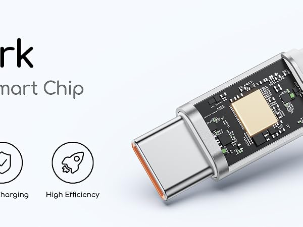 smart chip