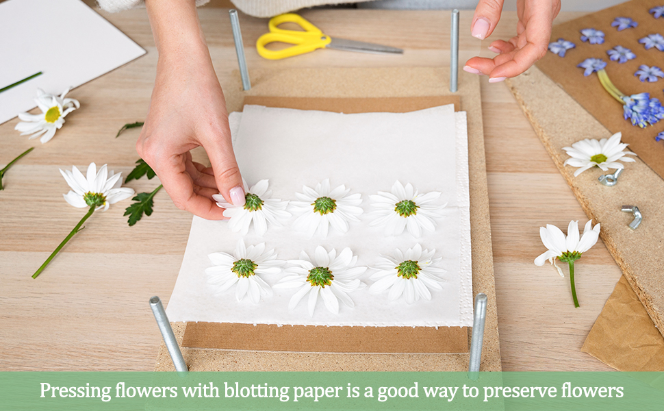 Blotting Paper for Flower Pressing
