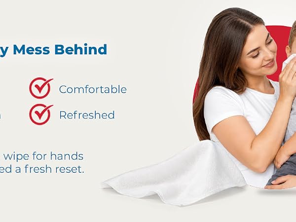 Diamond Wipes WipeEssentials Sanitizing Wipes