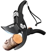 Pruning Shears