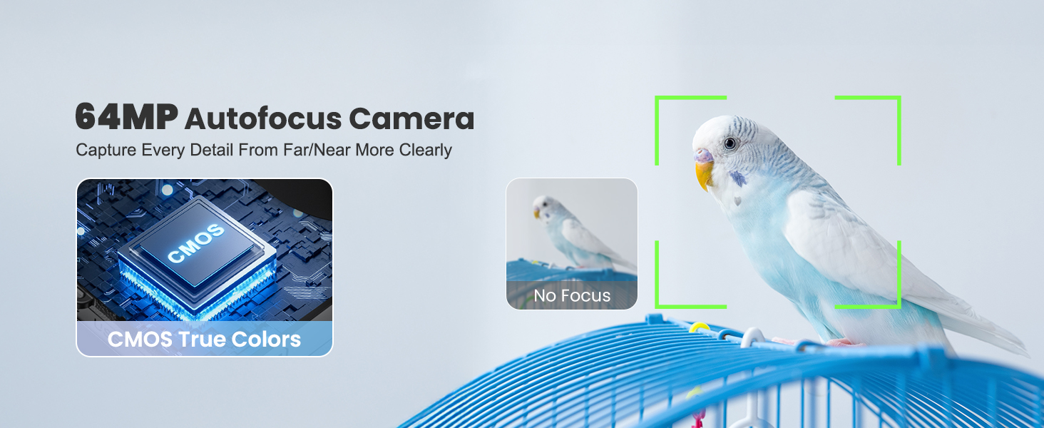 digital camera autofocus