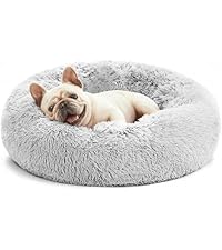 https://m.media-amazon.com/images/I/41T-hh2eEXL.__AC_SR200,225___.jpg