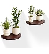 MITREL Small Wood Floating Shelves (2-Pack, 8-inch Diameter) - Round Sturdy Invisible Wall Mount ...