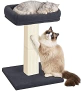 AGYM Cat Scratching Post, 32”Cat Scratcher with Large Plush Perch, Sisal & Carpet Scratching Post...
