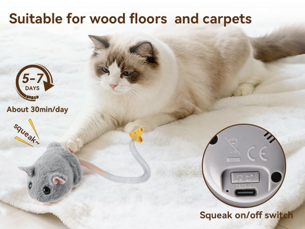 Fully charged can be played continuously for 3 hours' and 'Sound Switch'.