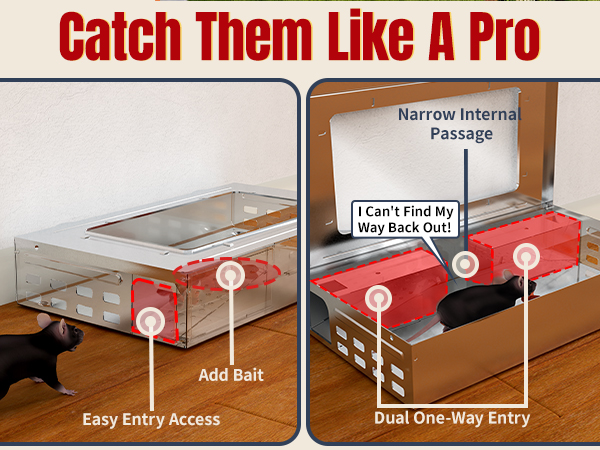 mouse traps mouse traps indoor for home rat trap mice traps live mouse trap humane mouse traps