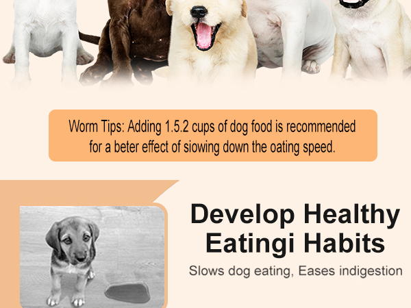 Stainless Steel Slow Feeder Dog Bowls