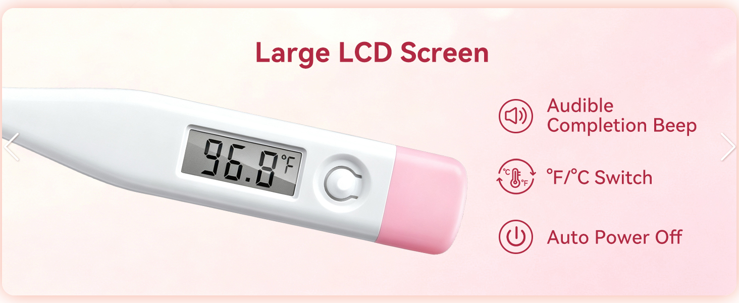Large LCD Screen