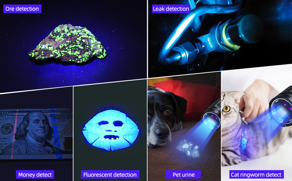 Widely used black light flashlight