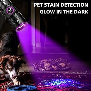Pet Urine Detector