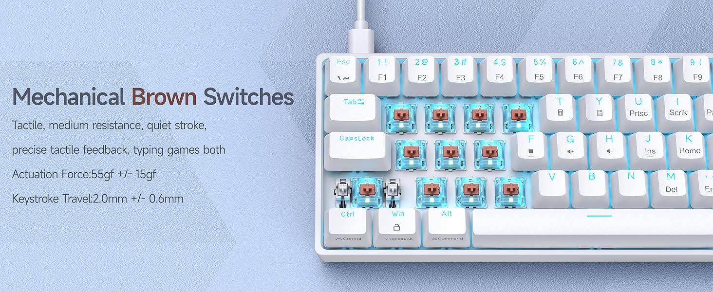 DK61SE- Brown Switch