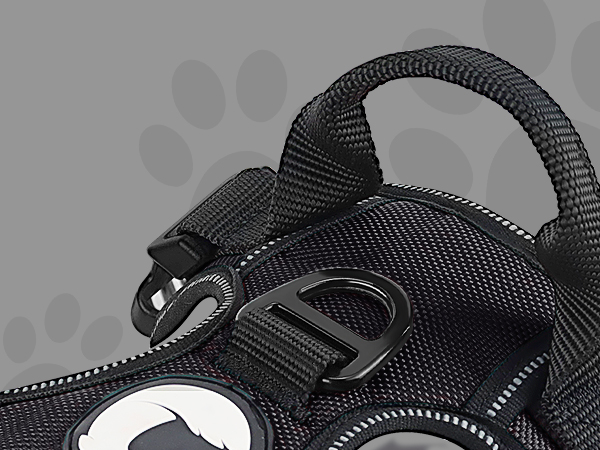 dog harness