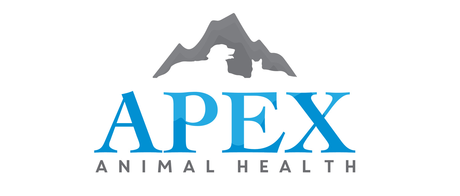 Apex