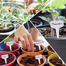 plant lables