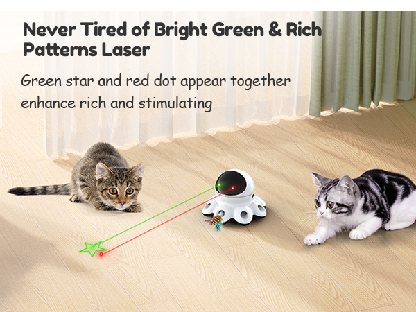 Interactive Cat Toy
