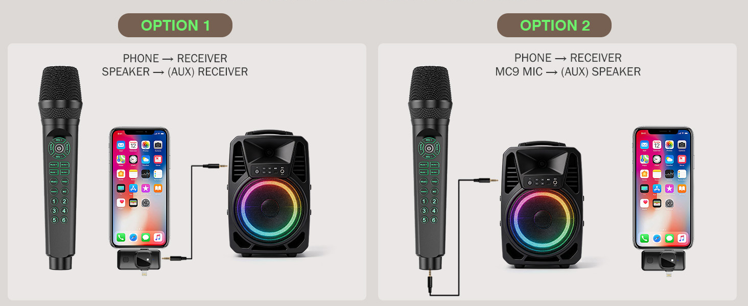 Live Sound Card Microphone