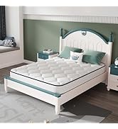 Novilla 6 Inch Twin Mattress,for Spine Support & Cooling Comfort - Twin Bed Mattress,Adaptive Foa...
