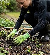Woman gloves