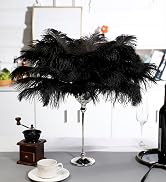 black ostrich feather