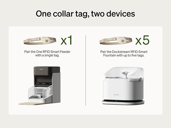 RFID collar tag