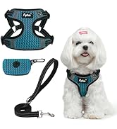 PUPTECK No Pull Dog Harness and Leash Set Reflective No Choke Step in Puppy Halter for XS Small a...