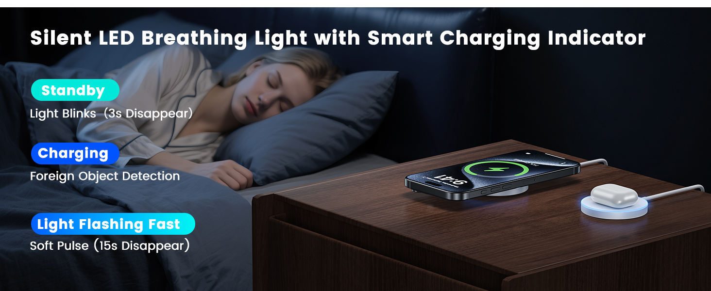 LED Smart Charger