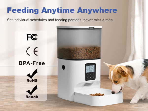 Automatic cat feeder