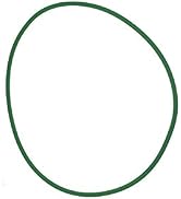 One Seamless Belt Dryer Fan Belt. for Avanti D110 Replacement for Green Belt. New.