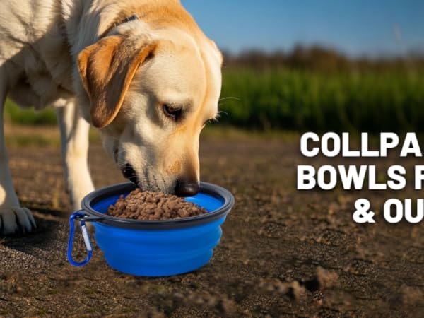 dog bowl travel