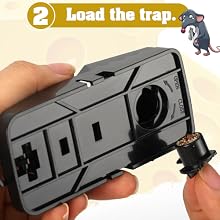 outdoor mouse trap