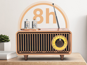 Super Long Standby Audio