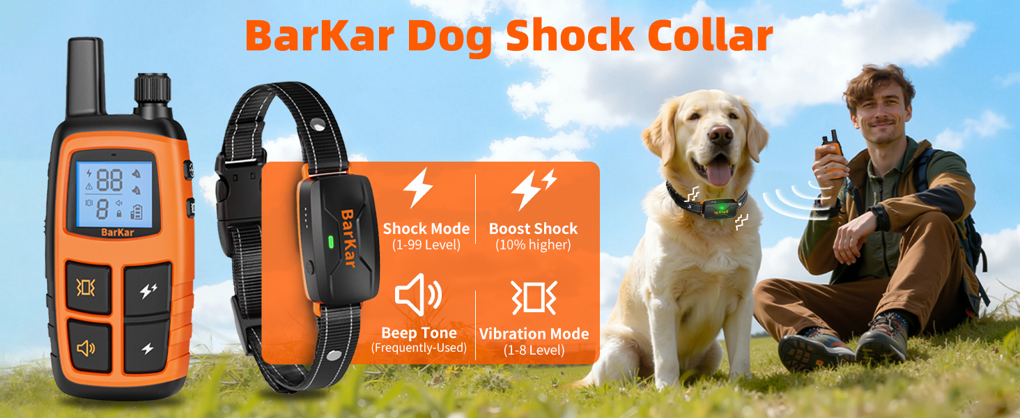 dog training collar