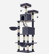 PCT190G01