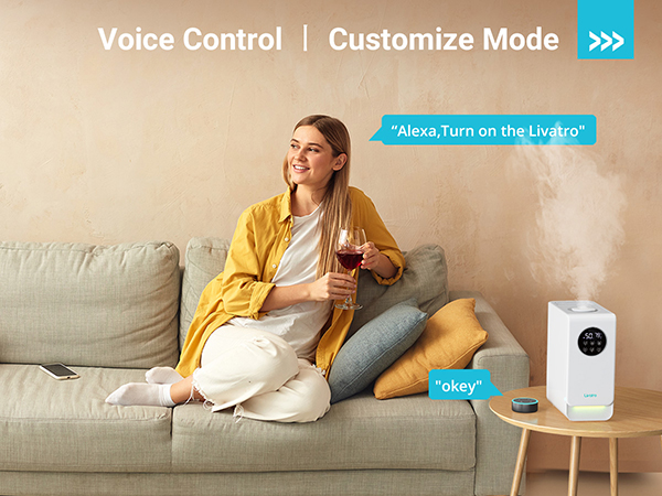 Alexa Vioce Control