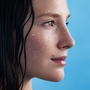 wet model