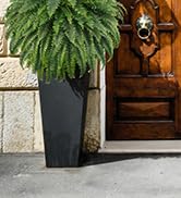 faux ferns for outdoor planter large