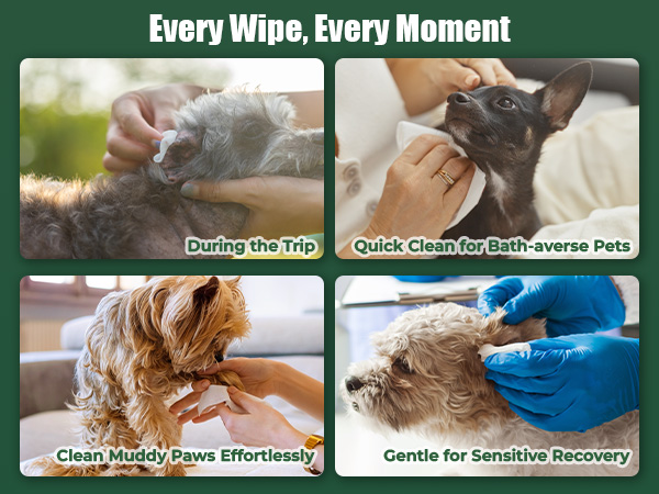 dog face wipes