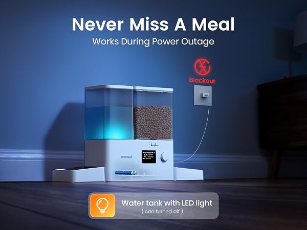 automatic cat feeder and water
