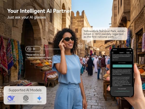 AI Glasses
