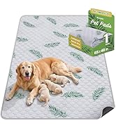 WanpeeGoo Washable Pee Pads for Dogs, 1Pack Reusable Puppy Pads, Super Absorbent & Leakproof Dog ...