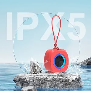 Portable Speaker