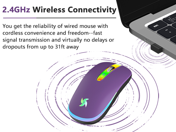 computer mouse