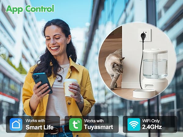 smart plug mini