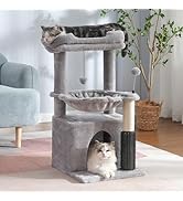 Pawfessor 5 in 1 Cat Tree 32 Inches Cat Tower with Self Groomer,15.7”Large Hammock, Fully Scratch...