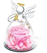 https://m.media-amazon.com/images/S/aplus-media-library-service-media/ea55736a-ad51-4ed3-afdb-5af10dece458.__AC_SR200,225___.jpg