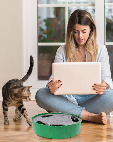 cat hideseek interactive toy