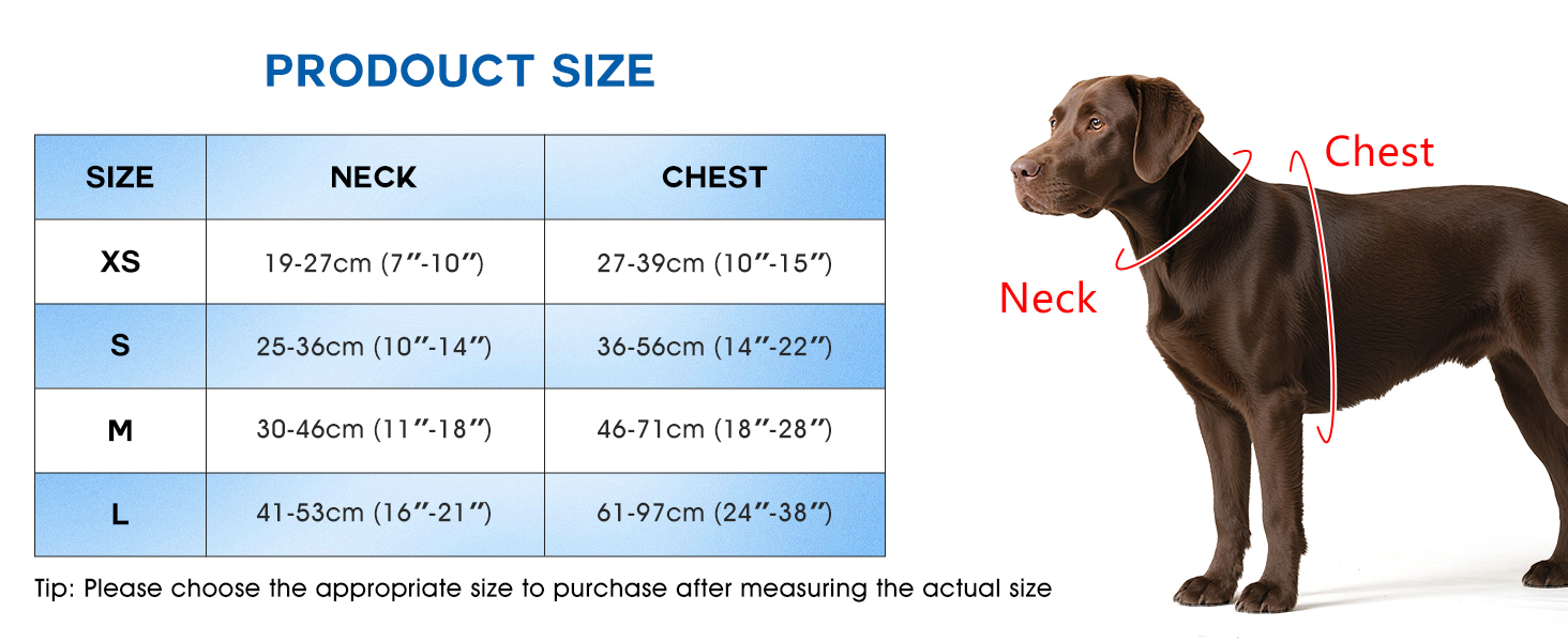 dog harness