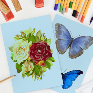 colored copy paper blue