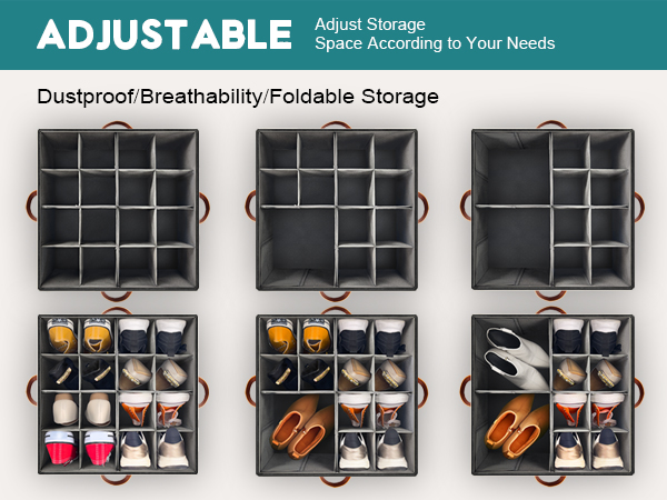 Shoe Organizer for Closet