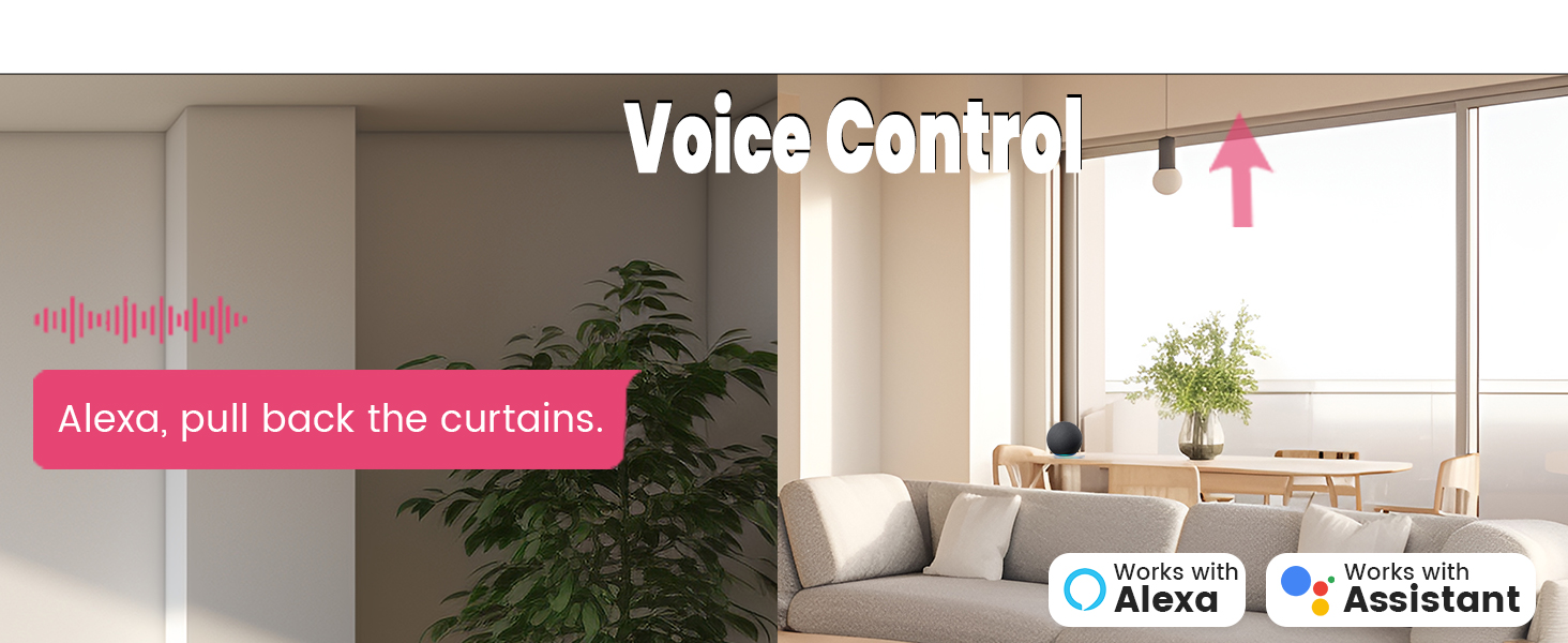 Voice control